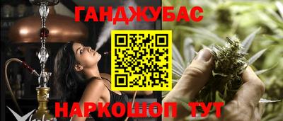 шишки Канаш