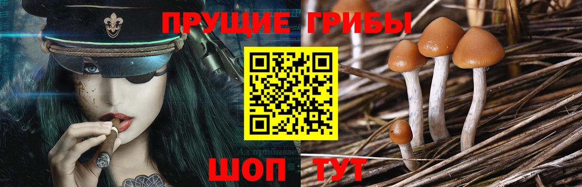 Псилоцибиновые грибы Psilocybine cubensis Топки