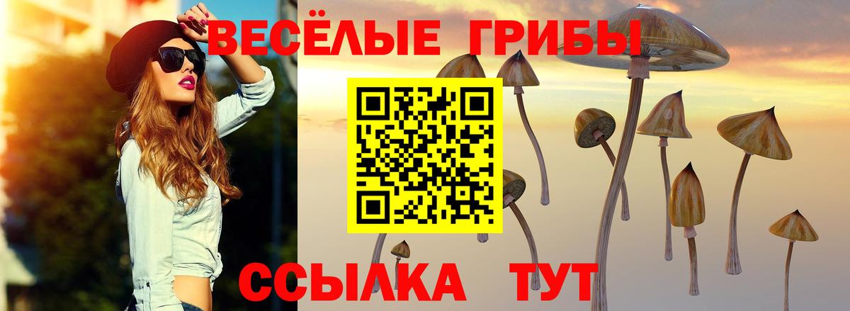 Галлюциногенные грибы мухоморы  Псилоцибиновые грибы мицелий  Вход с VPN  Топки 